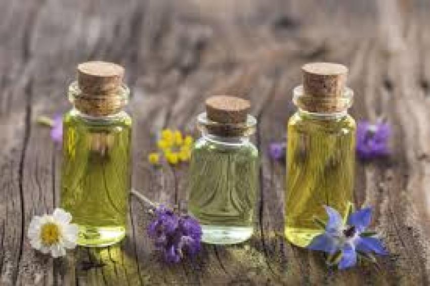Why Aromatherapy Oils Are Essential for Modern Wellness Lifestyles