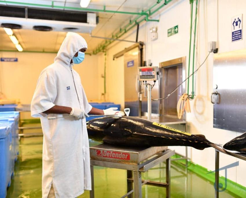 Quality control for Seafood Processing - What you need to know