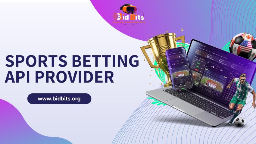 The Backbone of Every Successful Sportsbook: A Powerful Sports Betting API Provider