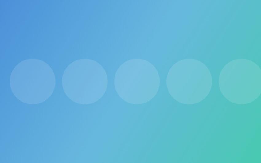 Pet Boarding vs Pet Sitting: Which Option Is Best for You?