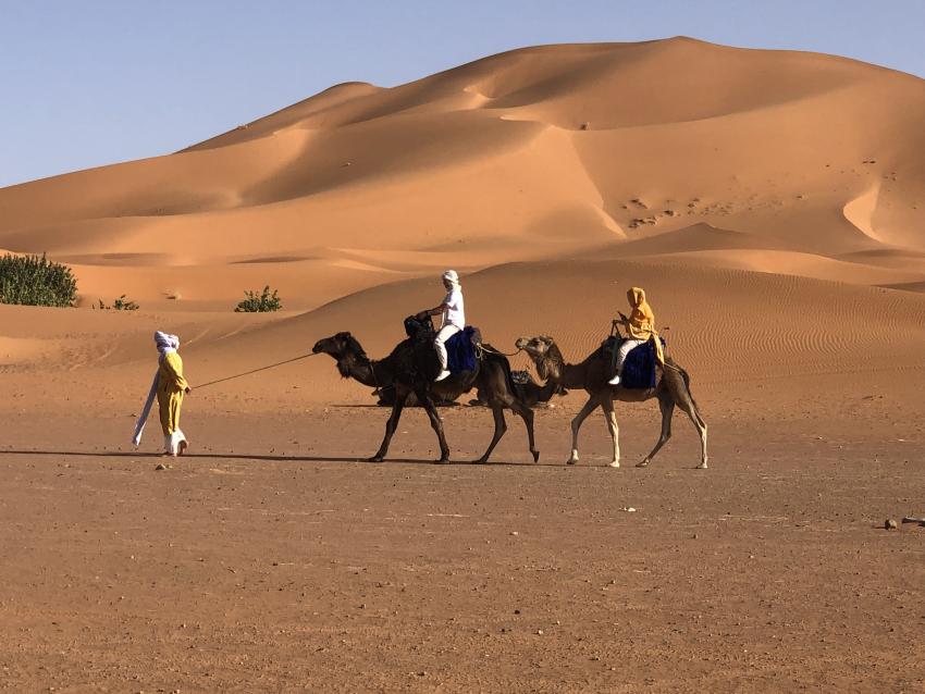 Explore the Majestic Morocco Desert Tours: An Unforgettable Journey