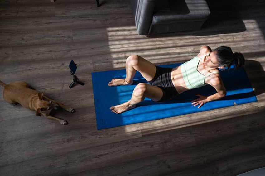 Can Mobile Pet Grooming Help With Shedding And Skin Issues?