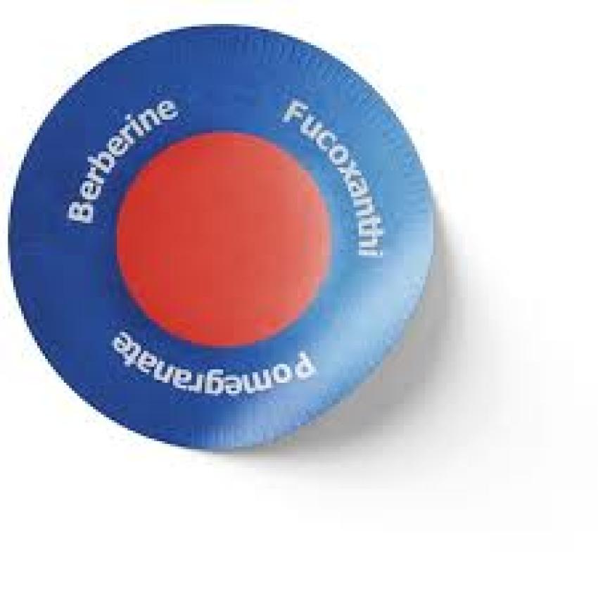 Is Purisaki suitable for beginners?