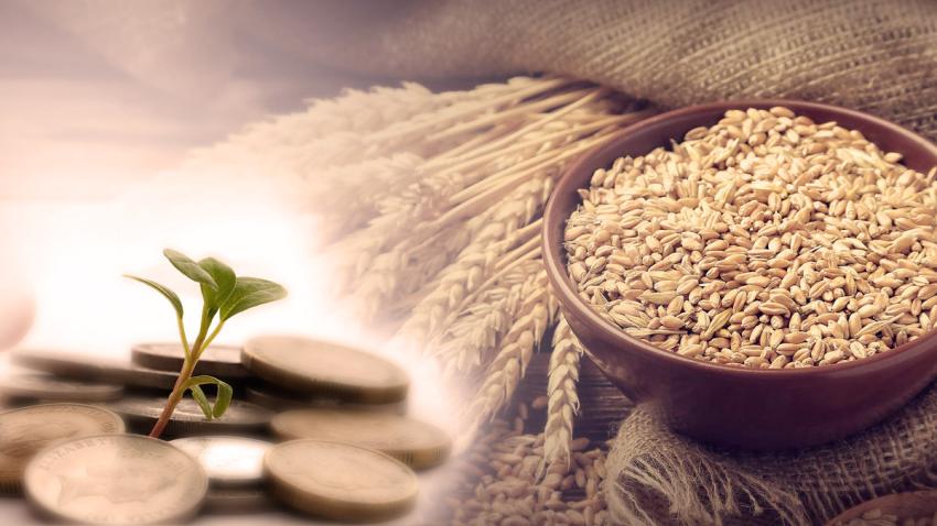 What Is Fidya, and Who Actually Needs to Pay It?