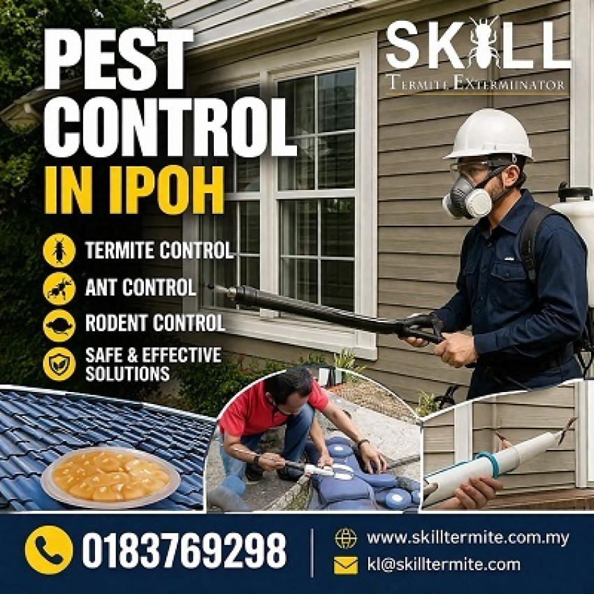 Why Pest Control in Ipoh is Essential for Malaysian Homes and Businesses