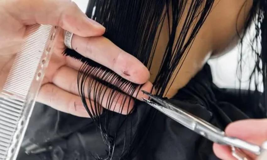 Hair Salon in Dallas: A Complete Guide to Style, Care, and Local Trends