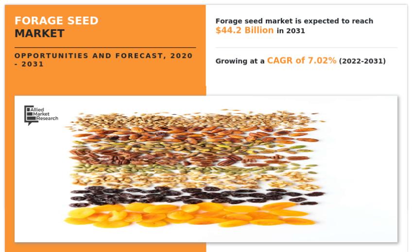 Forage Seed Market Overview, Size, Share, Top Companies, Growth will Expand at CAGR 7.02% by 2031
