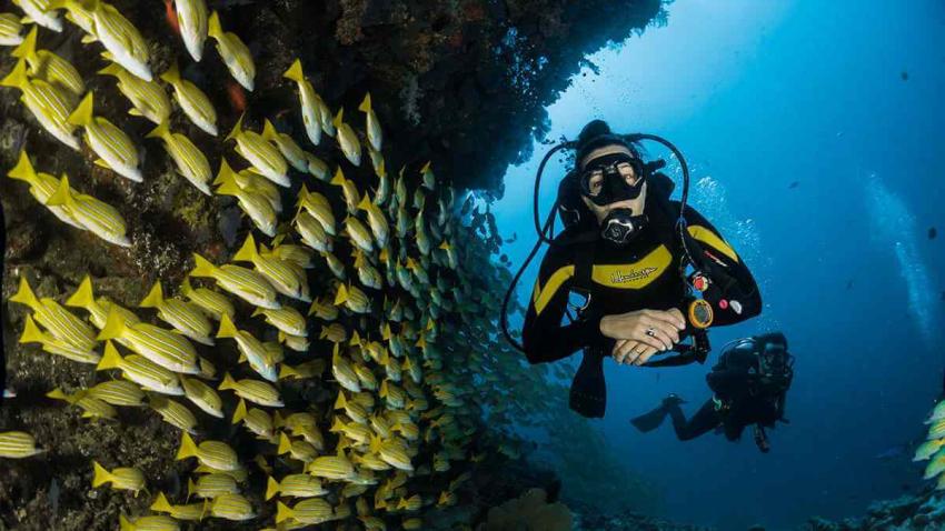 Dangers to Avoid While Snorkeling