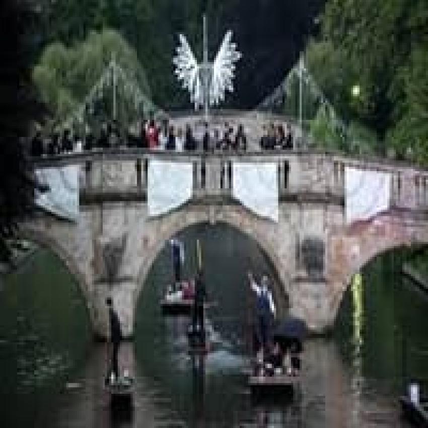 Beyond Tea and Queues Unearthing the Strangest Quirks of the United Kingdom