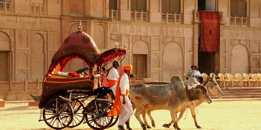 Descubrir Viaje de Luna de Miel en la India