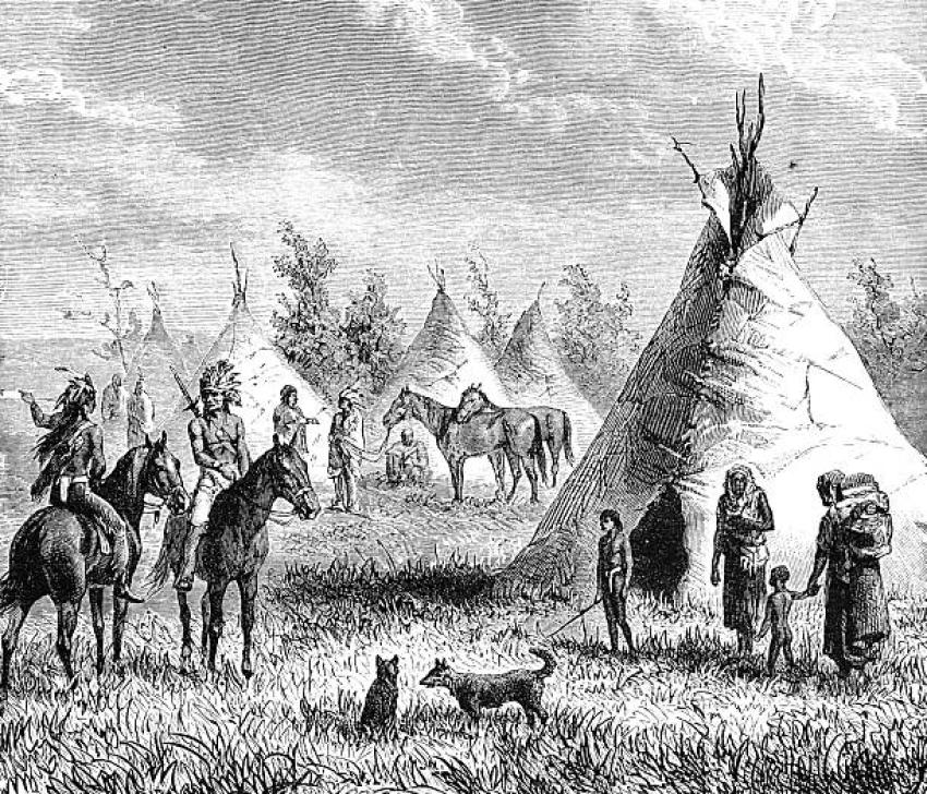 Horse Camps in Fairfield, CA: What to Know