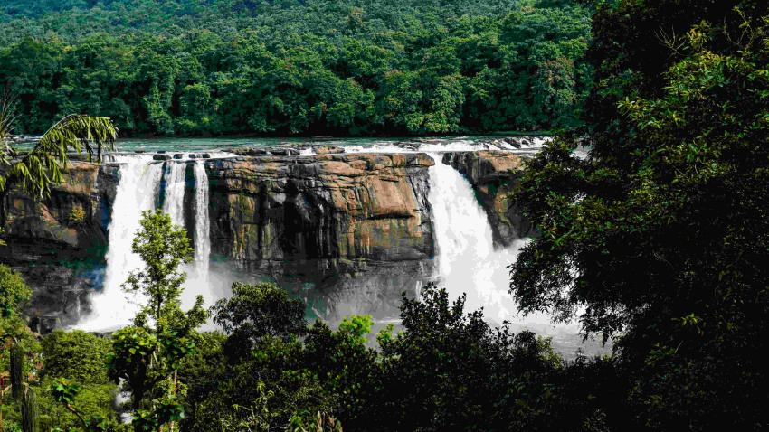 What's included in Kerala Wildlife Tour