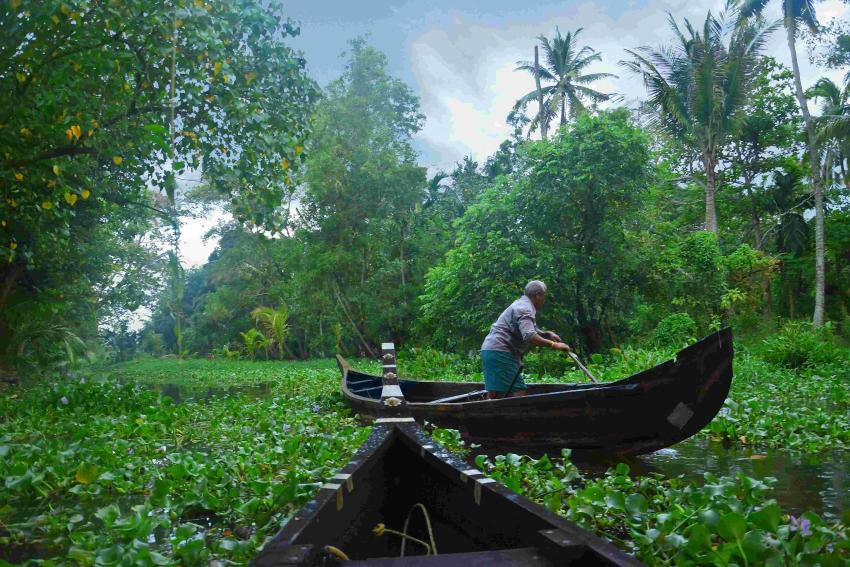 Top Destinations in Kerala Monsoon Escape Packages