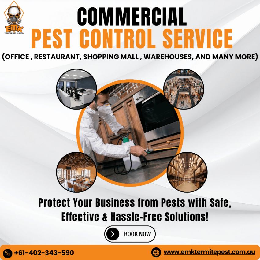 Why Businesses Should Invest in Rodent Monitoring Programs