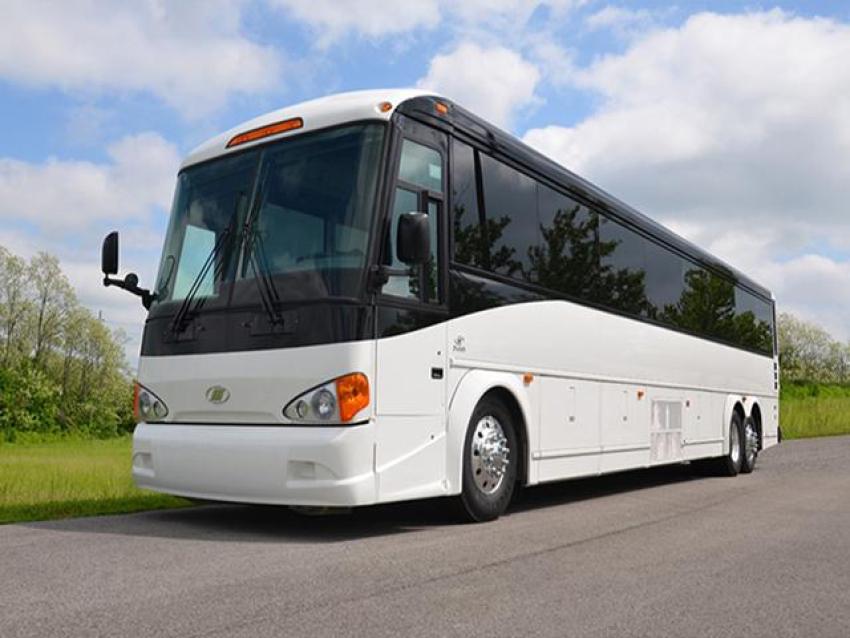 Best Island Tours and Attractions in Key West with a Charter Bus