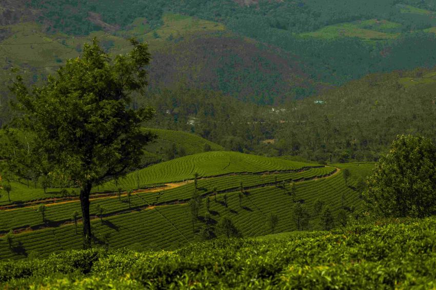 Best places in Kerala Tour Packages for Senior Citizens