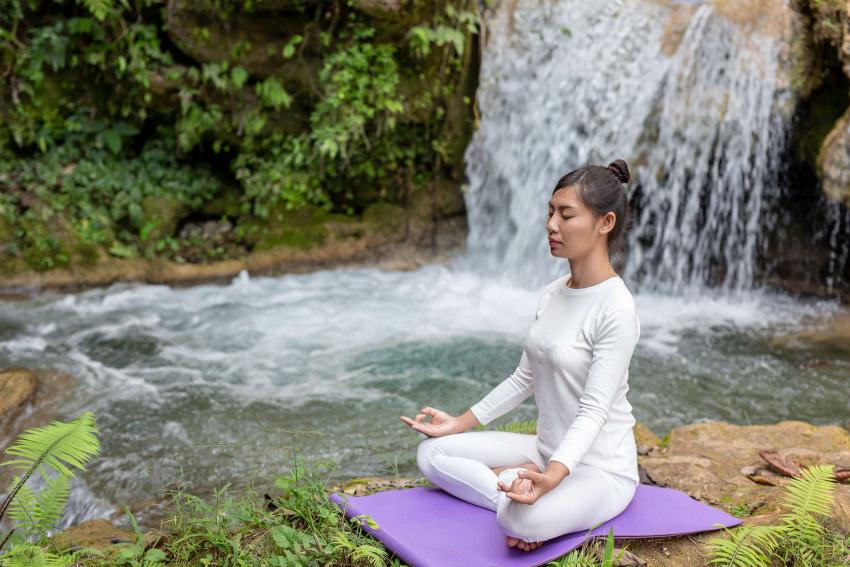 Kerala Ayurvedic Wellness Tour