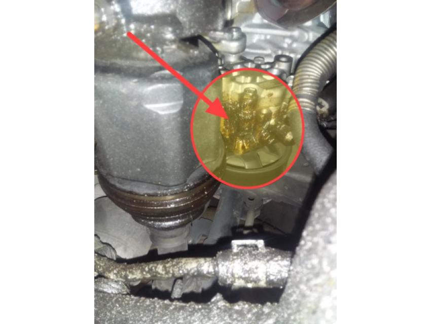 Repair Shop Solutions Launches Most Comprehensive Photo Editing for Digital Vehicle Inspections