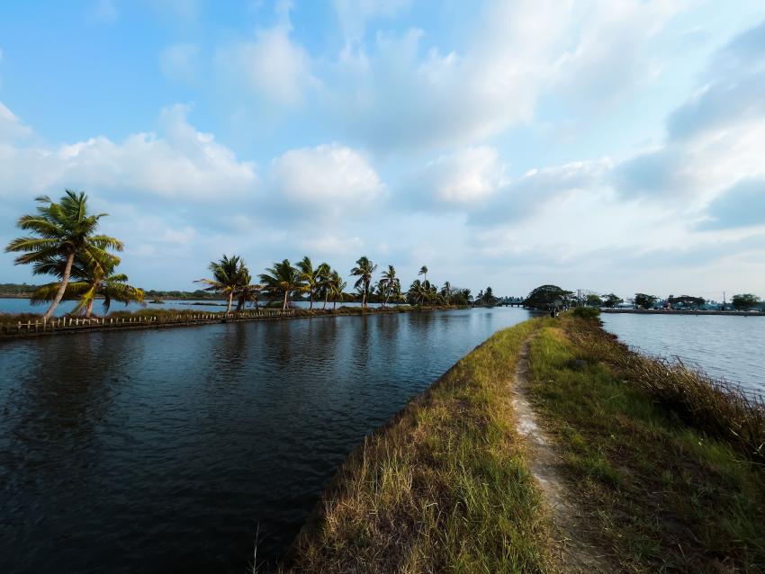 Top Places to Visit with a Kerala Tour Package