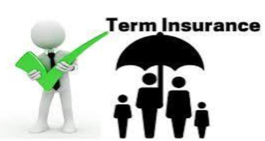 Term Insurance Policy: Meaning, Benefits, Types & How to Choose the Right Term Plan