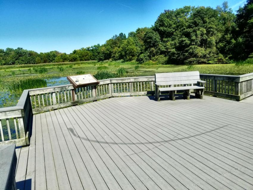 What Is Composite Decking and How Does It Work?